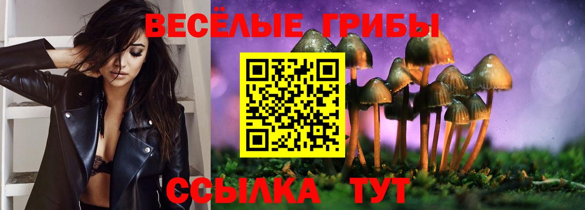 Галлюциногенные грибы Cubensis Кыштым
